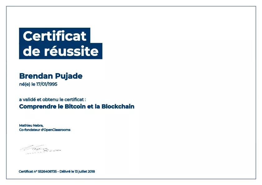 Comprendre le Bitcoin et la blockchain