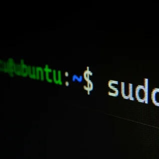 Le Terminal : Maîtriser la Ligne de Commande (Windows, Mac, Linux)